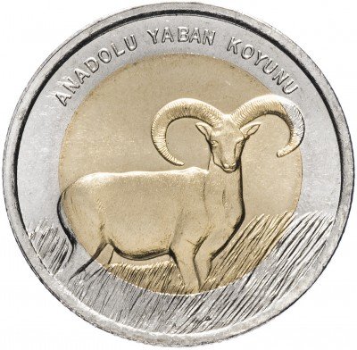 купить Турция 1 лира 2015 "Фауна Турция - Муфлон"